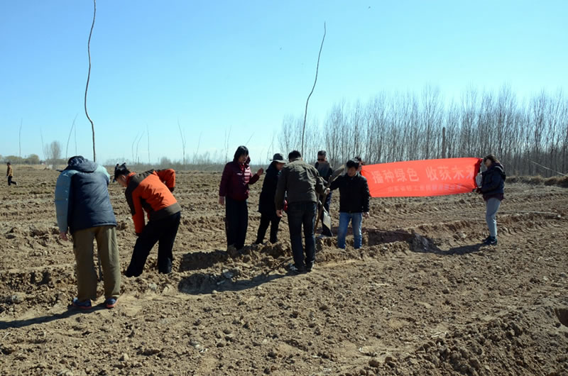 輕工供銷公司開展“播種綠色,收獲未來”義務植樹活動