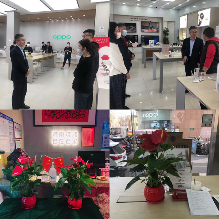 輕工供銷公司開展“播種綠色,贈送綠植”活動